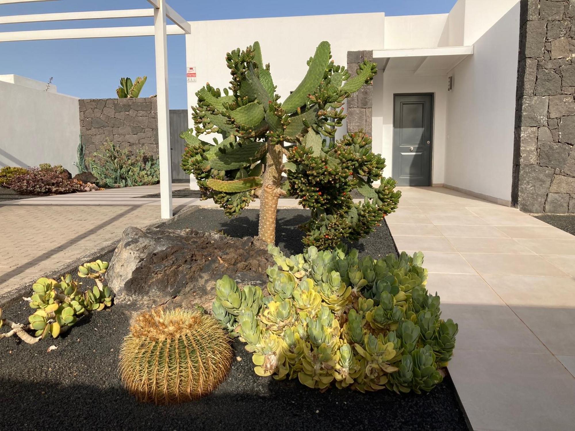 Casa Alice Playa Blanca (Lanzarote) Exterior foto